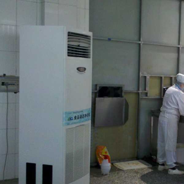 马鞍山食品正负离子空气杀菌器